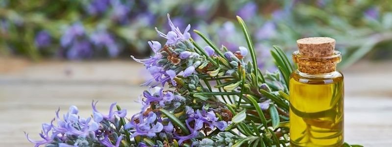 Neden Biberiye ve Acerola?